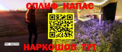 мдпв Моздок