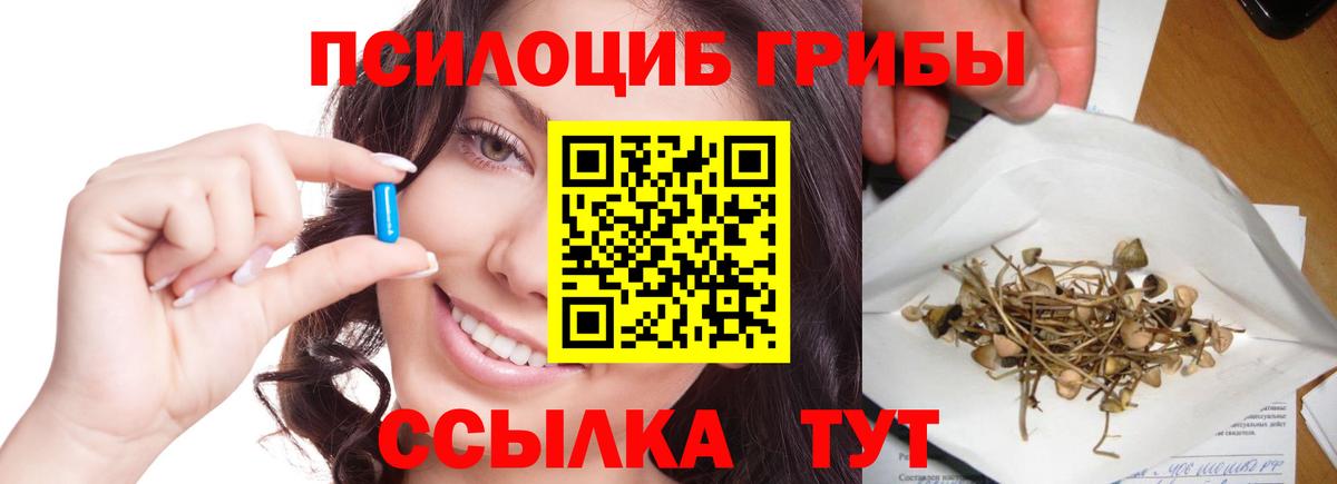 Галлюциногенные грибы Psilocybine cubensis  Вход с VPN  Ульяновск 